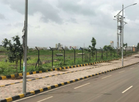 Avenue trees along Pune–Mumbai Road